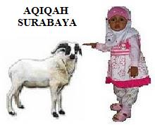 Kambing Aqiqah Surabaya