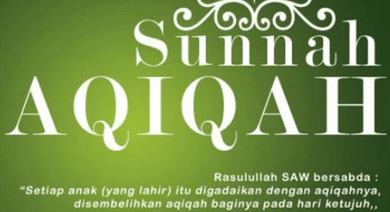 SyirkahAqiqah, Pusat Aqiqah Sidoarjo SyirkahAqiqah, Pusat Aqiqah Sidoarjo