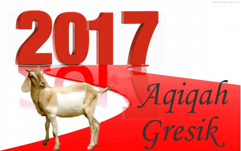 Aqiqah Gresik 2017 Aqiqah Gresik 2017